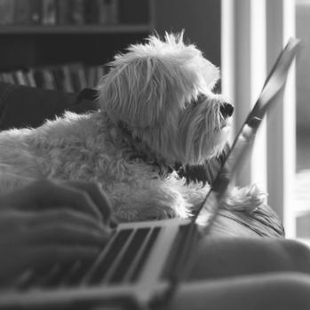 Na što obratiti pažnju kad kupujete ultralaki laptop?