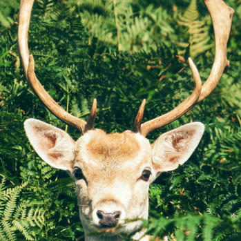 Prisluškuje li vas vaš mobitel?
