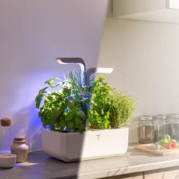 Pametni kućni vrt Veritable idealan je za svaki dom