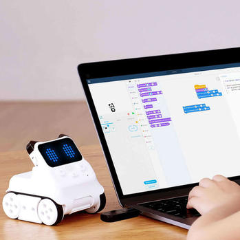 5 robota do 1000 kuna